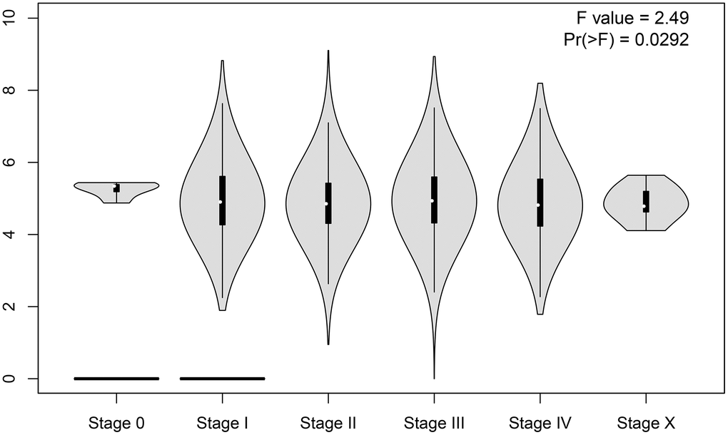 Violin plot of clinical stage of SNHG7 expression in human pancancers.