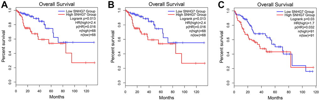 Validation of the prognostic value of SNHG7 based on the TCGA database. (A) The survival curve of patients with COAD; (B) The survival curve of patients with BLCA; (C) the survival curve of patients with LIHC. Abbreviations: COAD, colon adenocarcinoma; BLCA, bladder urothelial carcinoma; LIHC, liver hepatocellular carcinoma; TCGA, The Cancer Genome Atlas.