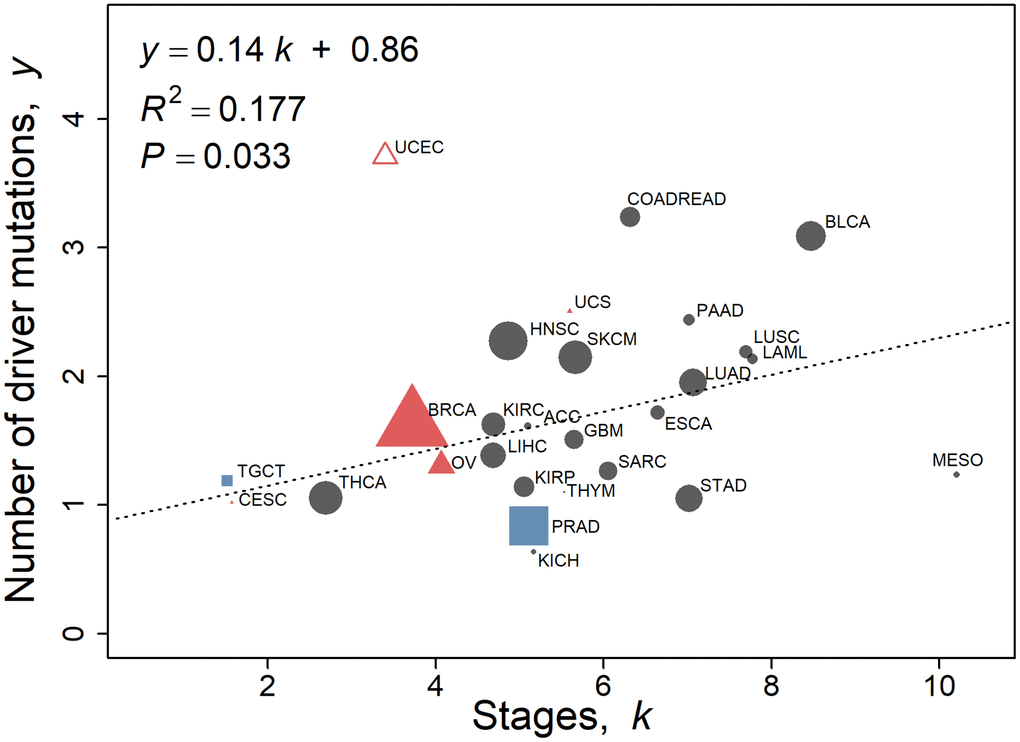 Number of driver mutations as assessed by Iranzo et al. [14] with respect to stage k calculated using the multistage-beta model employing the 2010–2013 SEER data. Values of non-reproductive cancers for both sexes pooled (Table 1C, n = 20) are represented by black circles. Female-specific cancers BRCA, CESC, OV, UCEC, and UCS are represented by red triangles, and male specific cancers PRAD and TGCT are represented by blue squares. UCEC is omitted as an outlier (standardized residual ≥3.0). The linear regression fit to the data is y = 0.14 k + 0.86, where y is the number of driver mutations as assessed by Iranzo et al. [14]. The regression is not weighted. The size of the points is proportional to the number of TCGA cases of that cancer type for illustration only.