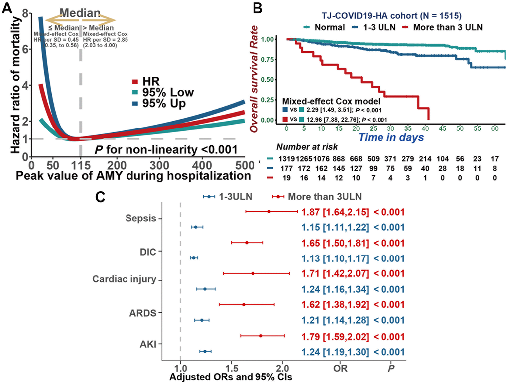 Associations between serum amylase and mortality, as well as secondary outcomes. (A) Restricted cubic splines analysis illustrated the association between serum amylase and all cause mortality. (B) Kaplan-Meier curves for cumulative probability of COVID-19 mortality during hospitalization in patients with different level of serum amylase. (C) Multivariable mixed-effect logistic regression model indicated that hyperamylasemia was independently associated with sepsis, DIC, Cardiac injury, ARDS and AKI.