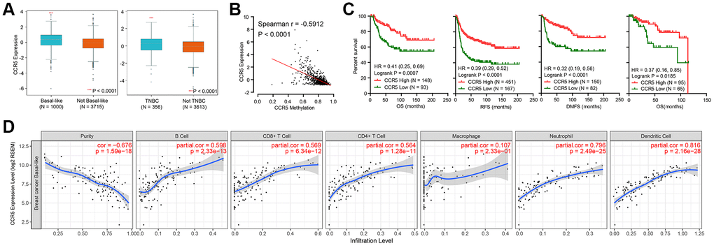 (A) CCR5 is overexpressed in basal-like or TNBC subtypes of breast cancer compared to not basal-like or non-TNBC subtypes. (B) The expression of CCR5 is negatively correlated CCR5 promoter methylation levels. (C) Patients with CCR5 high expression have better survivals compared to CCR5 low expression group. (D) CCR5 expression is positively correlated with tumor infiltration immune cells such as B cell, CD8+ T cell, CD4+ T cell, Neutrophil and Dendritic cell.
