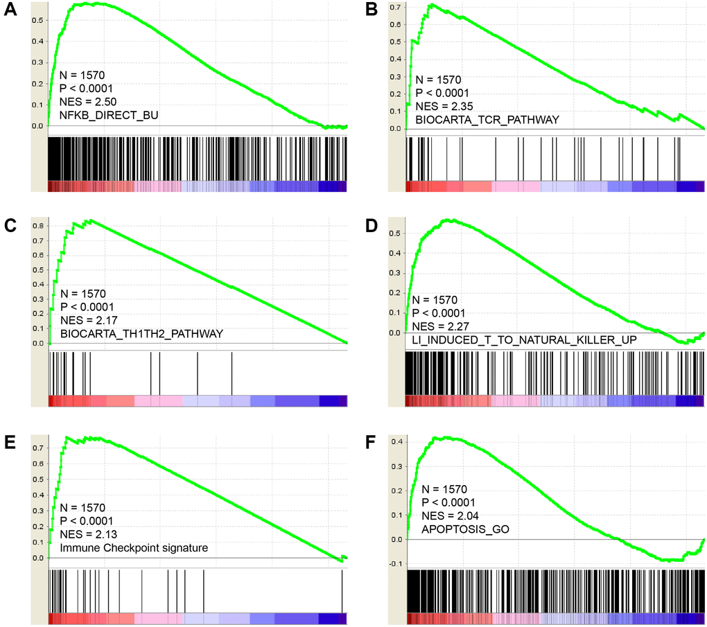 GSEA results show that CCR5 is positively correlated with NF-κB pathway (A), TCR pathway (B), TH1/TH2 pathway (C), Natural killer cell up (D), immune checkpoint signature (E) and Apoptosis (F).