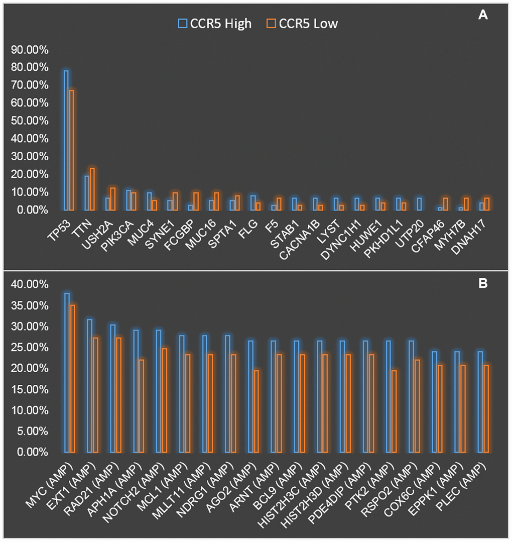 Comparison of mutation (A) and CNV (B) landscapes between CCR5 high expression and low expression groups.