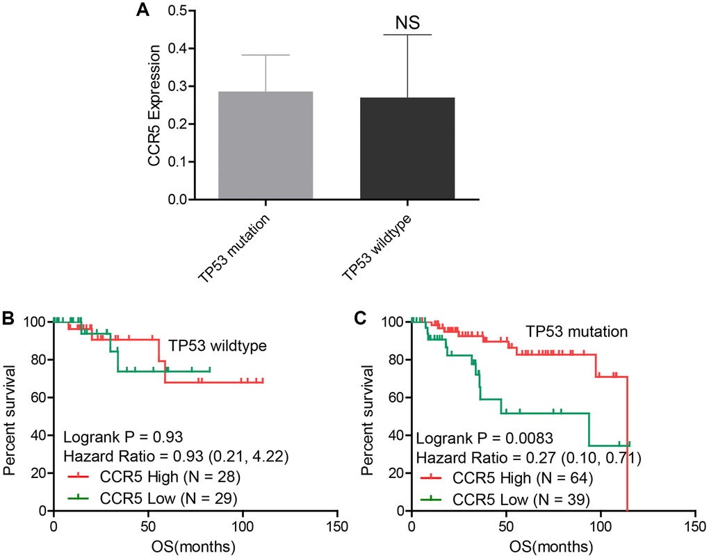 (A) There is no statistical difference of CCR5 expression between TP53 wildtype and TP53 mutation groups in TNBC samples. (B) CCR5 expression is not associated with OS in TNBC patients with wildtype TP53. (C) Patients with high CCR5 expression have better survival in TP53 mutation TNBC samples.