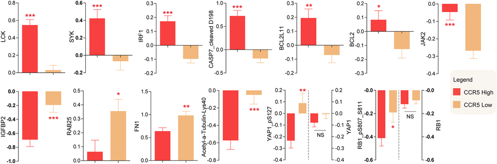 Differentially expressed proteins between CCR5 high expression and low expression groups.