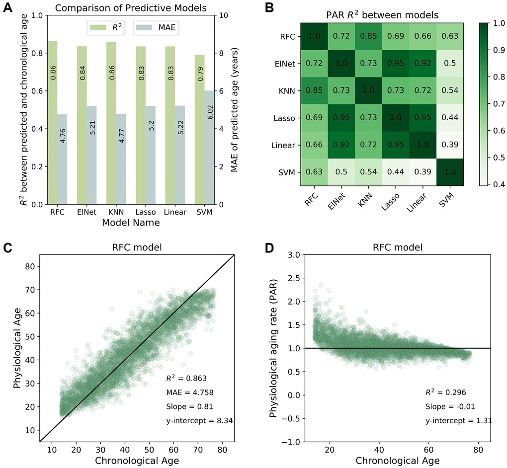 Correlation analysis of chronological age, scores in modified frailty