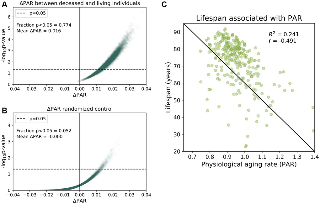 Physiological aging rates are associated with mortality. (A) Age-matched mortality analysis: 265 deceased participants were randomly paired with age- Matched ± 0.5 years) living participants in the baseline SardiNIA study. We calculated the difference in the mean PAR measurements of the two groups, ΔPAR = PARdeceased – PARliving and the corresponding p-value from a one-sided, one-sample t-test for ΔPAR > 0.The age-matched grouping was performed 10000 times and ΔPAR and p-values were calculated for each of the 10000 comparisons. 77.4% of the age-matched comparisons produced significantly greater than zero ΔPAR values (p 99%) had ΔPAR > 0, which indicated that PARdeceased > PARliving on average. (B) Randomized, age-matched control comparisons produced a 5.2% frequency of significantly greater than zero (p C) Lifespans for individuals were negatively correlated with PARs (r = −0.491).