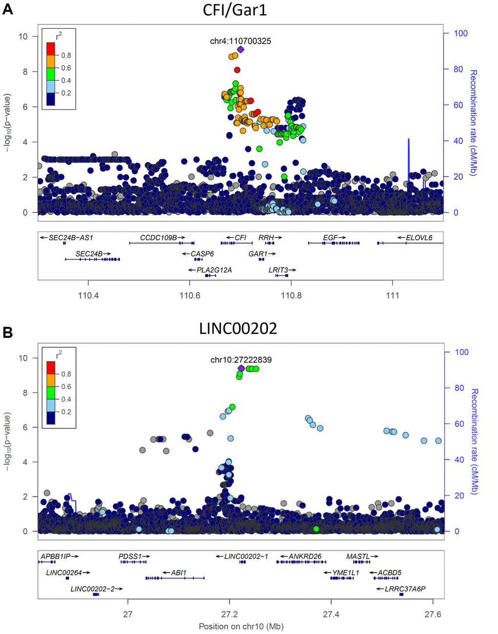 Significant genetic loci obtained from genome-wide association study. (A) CFI/GAR1 was significantly associated with the physiological aging rate (PAR). CFI is a complement factor and has been linked to age-related macular degeneration and other age-related disorders. GAR1 is an accessory protein for the active telomerase complex and is an eQTL target of the top CFI/GAR1 SNPs. (B) LINC00202 was significantly associated with the PAR and corresponded to a long non-coding RNA that has been indirectly linked to age-related disease. Plots were made using LocusZoom (Pruim et al., 2010).