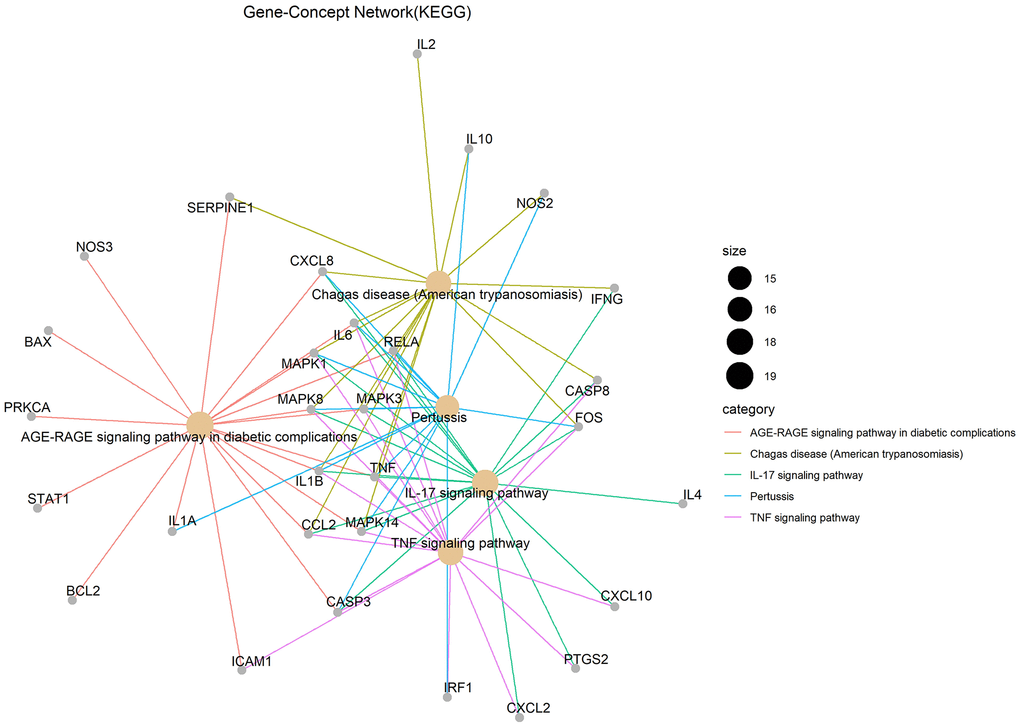 KEGG pathways.