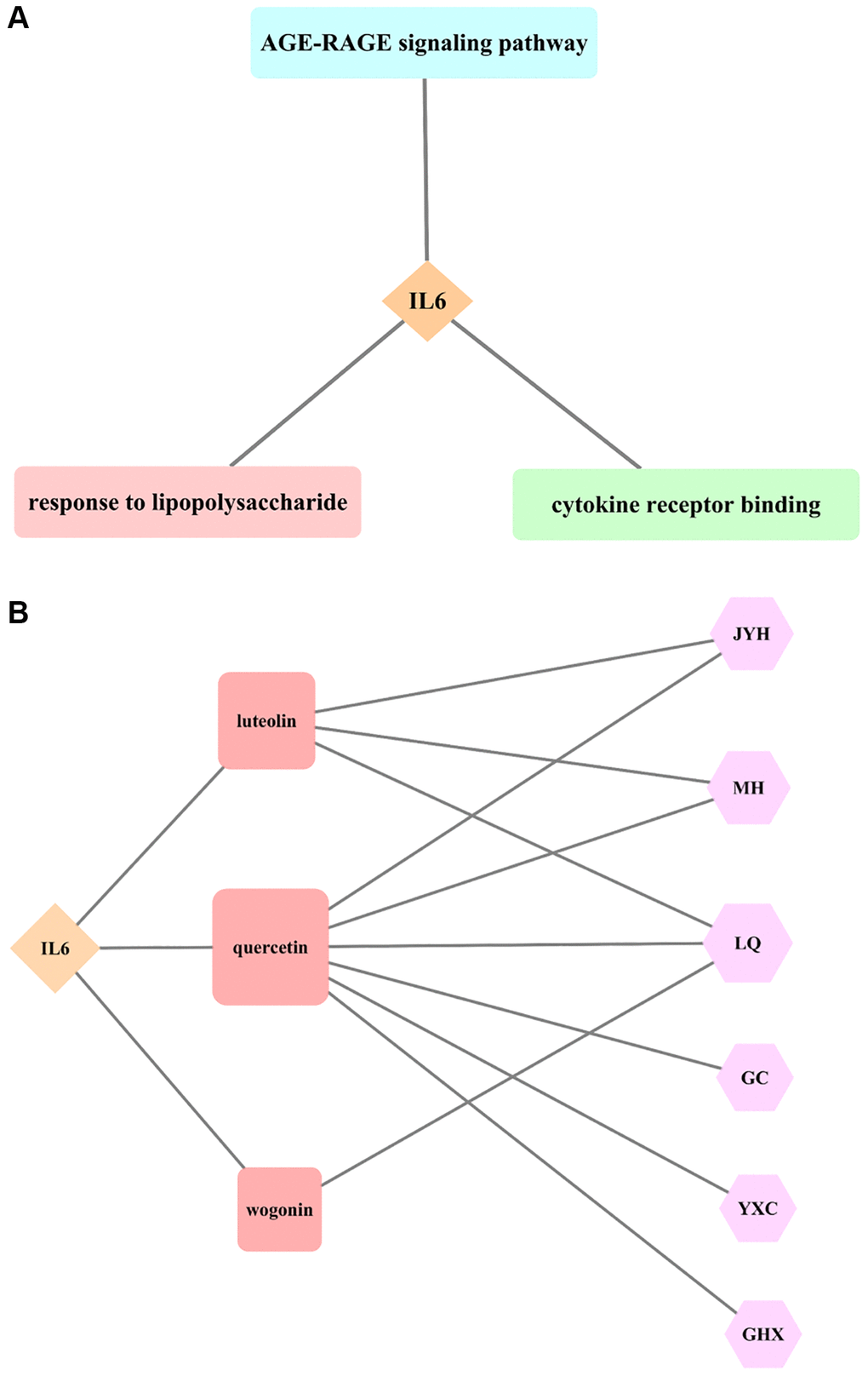 Results of core target IL6 for LHQW in treating COVID-19. (A) The most significant GO enrichment and KEGG pathway analyses. (B) Effective active ingredients.