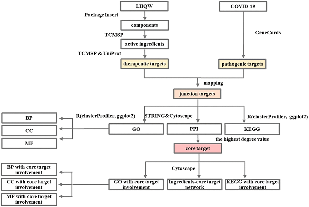 Network pharmacology-based analysis of the mechanism of LHQW in treating COVID-19.