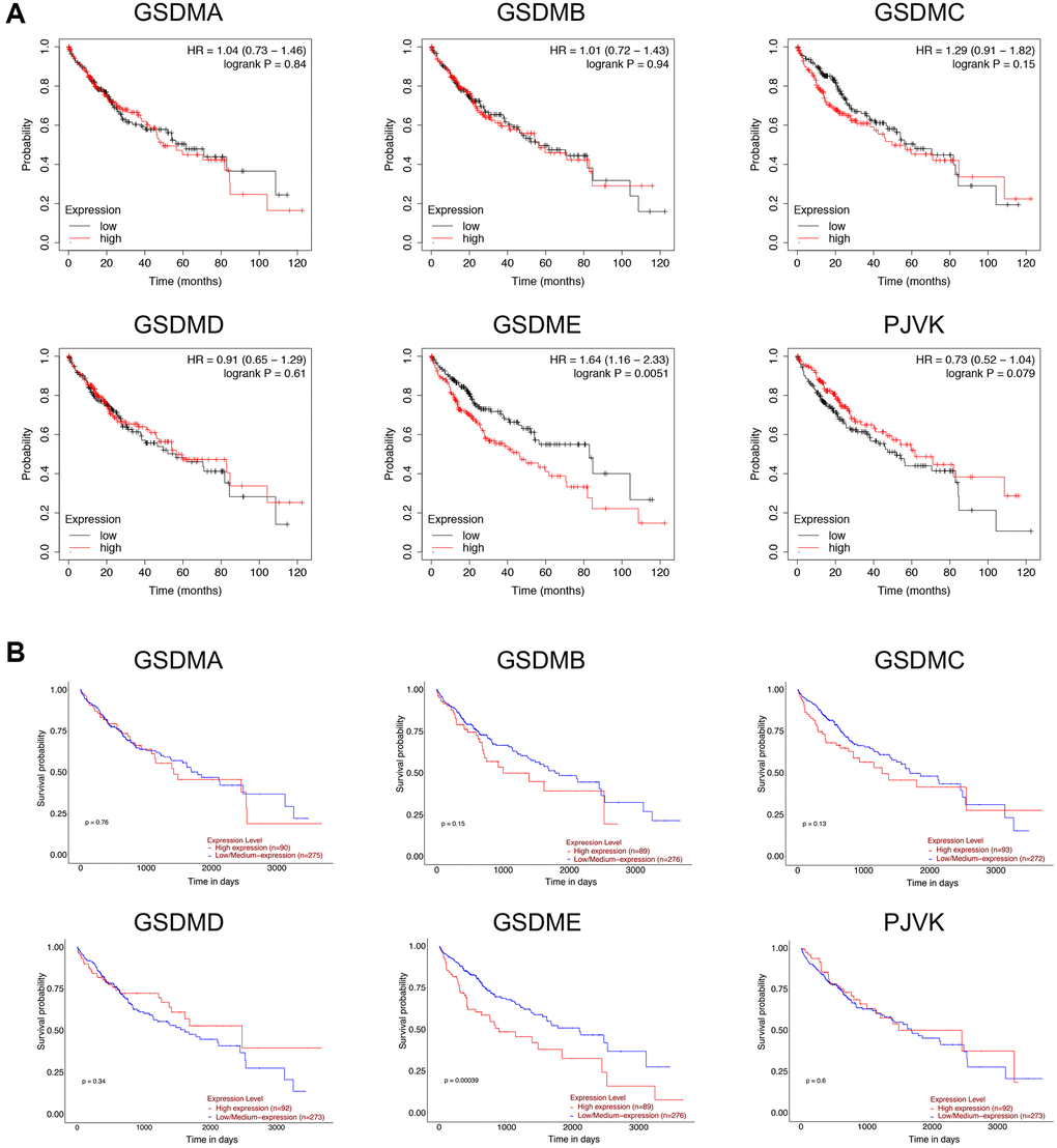 Prognostic value of GSDMs mRNA expression levels in HCC. (A) Relationships between GSDMs transcript levels and overall survival (OS) of HCC patients were conducted using Kaplan-Meier plotter. (B) Relationships between GSDMs transcript levels and overall survival (OS) of HCC patients were analyzed through the UALCAN database.