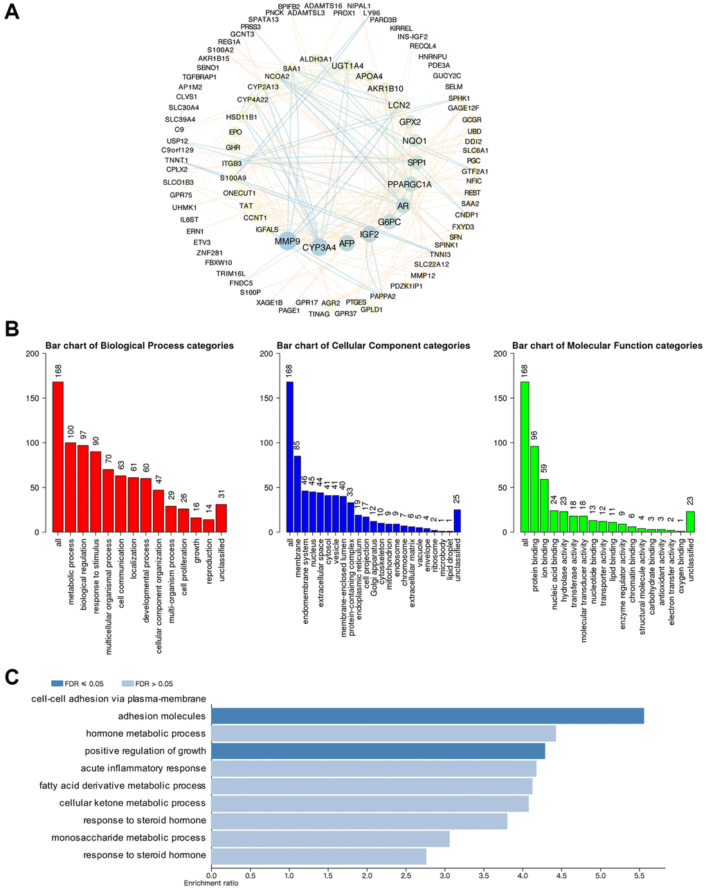 Predicted functions and pathways of GSDMs and GSDM-associated co-expressed molecules in HCC. (A) 168 GSDM-associated co-expressed molecules which were most frequently altered in HCC were identified by using cBioPortal, and protein-protein interaction (PPI) network was then conducted by Cytoscape. (B) Gene Ontology (GO) functional enrichment analysis of GSDM-associated co-expressed molecules was conducted by WebGestalt. (C) Kyoto Encyclopedia of Genes and Genome (KEGG) pathway analysis of GSDM-associated co-expressed molecules was conducted by WebGestalt.