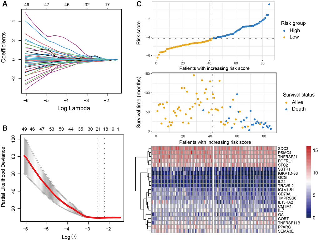 Development of the immune-related risk signature. (A) Regression coefficient profiles of the prognostic immune genes generated by the LASSO model in the TARGET cohort. (B) Partial likelihood deviance representation of distinct gene combination in LASSO regression. The red dots indicated the partial likelihood of deviance values, the gray lines indicated the standard error (SE), the two vertical lines on the left and right respectively indicated optimal values by minimum criteria and 1-SE criteria. (C) Heatmap of the 21 immune-related genes within the identified immune signature and the risk score curve based on the LASSO coefficients. OS patients were stratified into high-risk and low-risk subgroups with the median risk score.