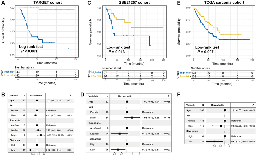 The constructed immune risk signature was linked with OS prognosis. Kaplan-Meier survival curves according to distinct immune signature subgroups in (A) the TARGET discovery cohort, (C) GSE21257 cohort, and (E) TCGA sarcoma cohort. (B, D, F) Forest plot representation of the multivariate Cox regression models delineated the connection between immune risk signature and prognosis in the three datasets. Clinical confounding factors were taken into consideration.