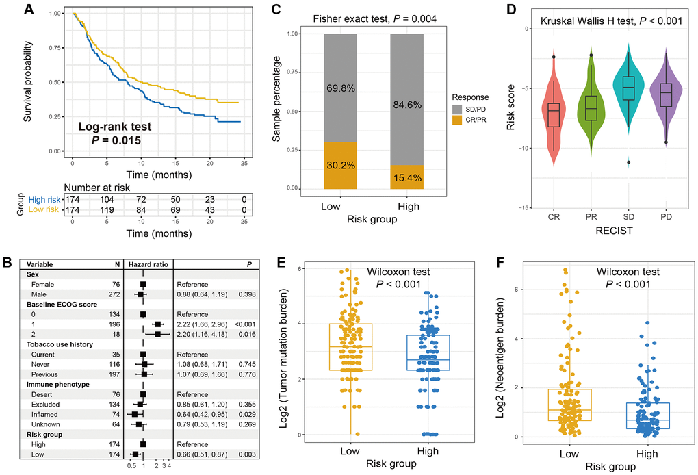 The roles of the immune signature in evaluating ICI treatment efficacy for advanced urothelial cancer (UC). (A) Kaplan-Meier survival plots of low-risk versus high-risk subgroups in the anti-PD-L1-treated UC cohort. (B) Forest plot of the multivariate Cox regression models with sex, ECOG score, smoking status, and immune phenotype taken into account to exhibit the association of the identified immune signature with ICI survival. (C) The proportion of therapeutic advantages to anti-PD-L1 therapy in low versus high-risk OS subgroups. (D) Distribution of immune signature risk scores in patients with distinct ICI treatment effect. (E) Tumor mutation burden and (F) neoantigen burden distribution in low-risk versus high-risk OS subgroups with the genomic data from UC immunotherapy cohort.