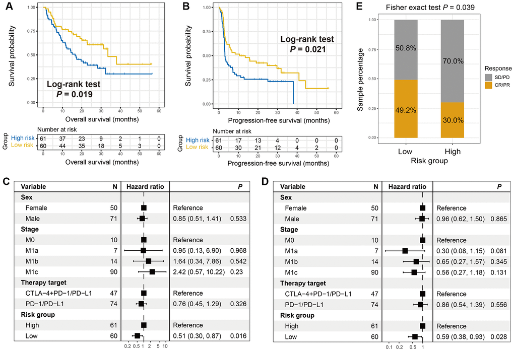The roles of the immune signature in evaluating ICI treatment efficacy for melanoma. (A) Overall survival (OS) rate and (B) progression-free survival (PFS) rate differences of low- and high-risk groups were illustrated by Kaplan-Meier survival curves. Multivariate Cox regression models were conducted with sex, stage, and treatment type taken into account to elucidate the connections of the immune signature with (C) OS and (D) PFS outcomes. (E) The proportion of melanoma ICI responders in patients with low-risk versus high-risk signature scores was illustrated.