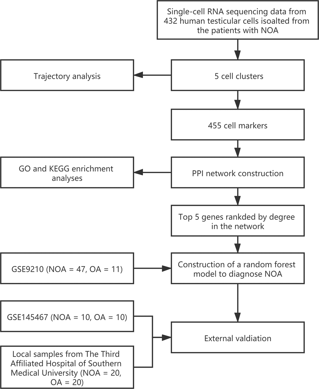 The workflow of the present study.