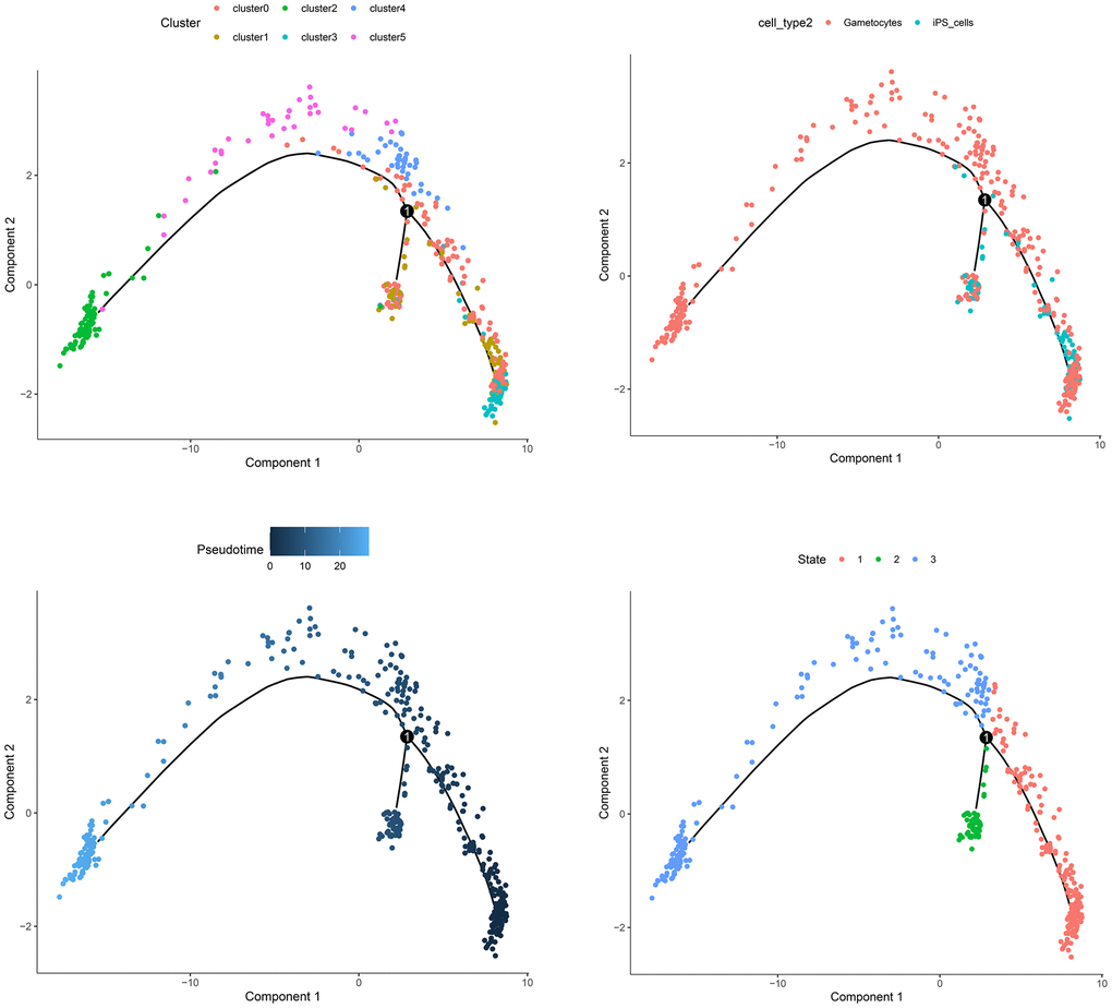 The trajectory analysis of the cell samples.
