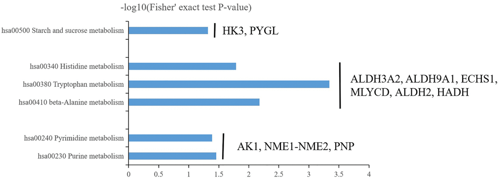 Three major enrichment metabolisms in central precocious puberty including energy metabolism (hsa00500 starch and sucrose metabolism), amino acid metabolism (hsa00410 beta-Alanine metabolism, hsa00380 tryptophan metabolism and hsa00340 histidine metabolism) and nitrogenous base metabolism (hsa00230 purine metabolism and hsa00240 pyrimidine metabolism).