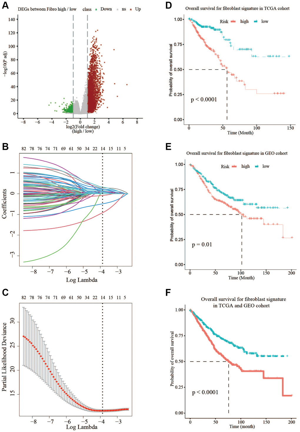 Prognostic signature based on 14 hub genes. (A) Differentially expressed genes in TCGA between low-fibroblast group and high-fibroblast group. (B, C) LASSO-COX analysis of prognostic genes. (D) The OS is shorter in the high-risk group than in the low-risk group in TCGA. (E) The OS is shorter in the high-risk group than in the low-risk group in GSE39582. (F) The OS is shorter in the high-risk group than in the low-risk group in TCGA and GSE39582.