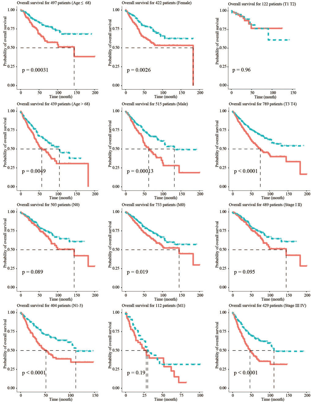 Stratified survival analysis adjusted to age, gender, stage, and TNM stage. All CRC patients in the training and testing groups were summarized in the stratified survival analysis. 68 years old was the median age of 937 CRC patients.