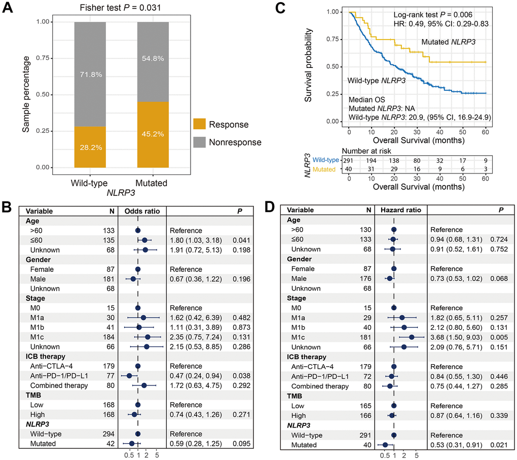 Correlation of NLRP3 mutations with ICI response rate and survival interval. (A) Distinct ICI response rate in NLRP3 mutated and wild-type patients. (B) Association of NLRP3 mutations with the response rate in multivariate Logistic regression model. (C) Kaplan-Meier survival curve of distinct NLRP3 status in ICI-treated cohort. (D) Forest plot for multivariate Cox regression model with confounders taken into account.