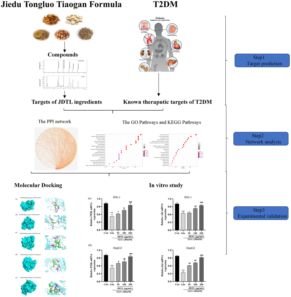 Workflow for the mechanism of JDTL in treating T2DM.