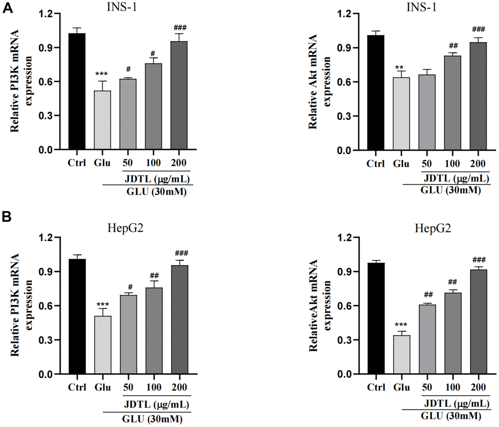 (A, B) Effects of JDTL on mRNA expression levels associated with PI3K and Akt expression. (A) in INS-1 cells. (B) in HepG2 cells. Values are expressed as means ± SD from three independent experiments. ***P #P ##P ###P 