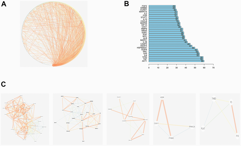 PPI network of compound-T2DM-related protein. (A)The PPI network by established in the Cytoscape 3.7.2; (B)The bar plot of the PPI network; (C) Top 5 clustering graphs from the PPI network of T2DM targets.