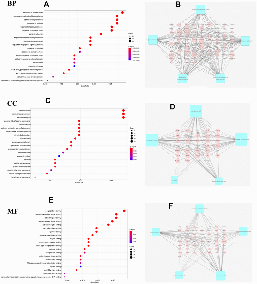 GO analysis for the major targets of JDTL. (A) Bar chart of biological process categories; (B) Sub-network showing the top 5 BP terms and related genes. (C) Bar chart of cellular composition categories; (D) Sub-network showing the top 5 CC terms and related genes; (E) Bar chart of molecular function categories; (F) Sub-network showing the top 5 MF terms and related genes (P