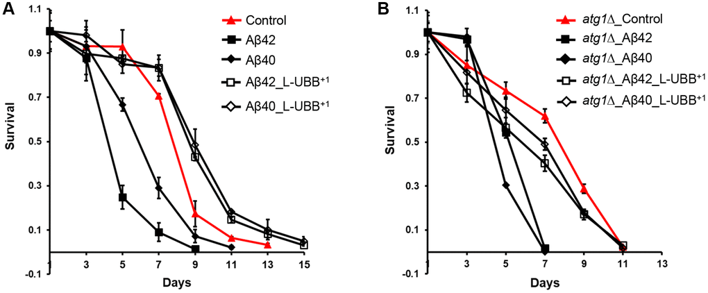 Low UBB+1 expression reduces Aβ42 and Aβ40 toxicity. (A) Survival of the Aβ42 and Aβ40 strains during stationary phase without or with low UBB+1 expression under wild type background. (B) Survival of the Aβ42 and Aβ40 strains during stationary phase without or with low UBB+1 expression under atg1Δ mutant background. Viability was determined by CFU counting. The data are shown as mean ± SD from biological duplicates.