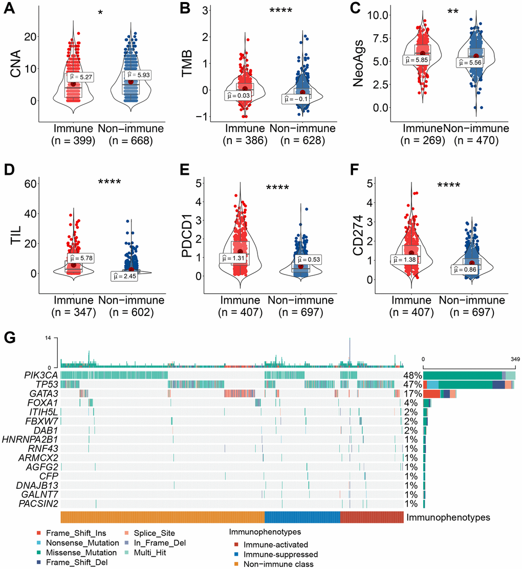 Association between immune-related molecular subclasses and molecular characteristics. (A–F) Copy number deletion at the arm level (A), TMB (B), neoantigens (C), TIL abundance (D), and PD-1/PD-L1 mRNA expression levels (E, F) were compared between patients in the immune and non-immune subclasses. (G) Oncoprint of differentially mutated tumor-related genes among the three immunophenotypes. Abbreviations: TIL: tumor-infiltrating lymphocytes; TMB: tumor mutant burden; NeoAg: neoantigen. *P ≤ 0.05, **P ≤ 0.01, ***P ≤ 0.001, or ****P ≤ 0.0001.