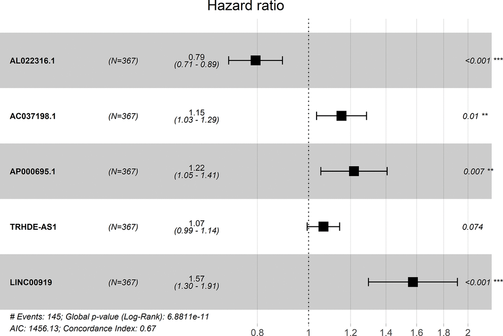 Forest plot for the association between five-lncRNA and risk value.