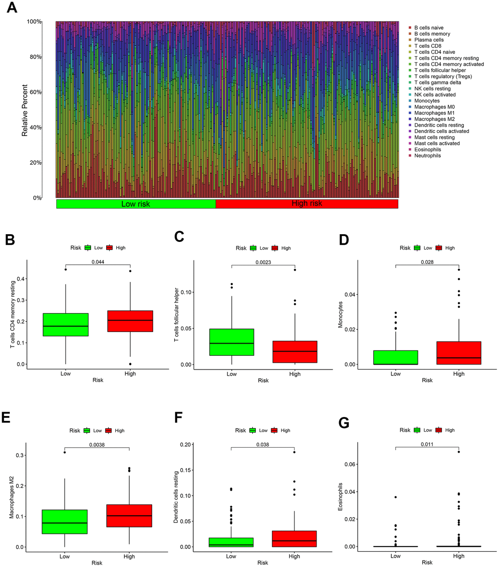 Immune microenvironment in different risk groups. (A) The relative proportion of 22 kinds of immune cell infiltration in high- and low-risk groups. (B) Box plot showing the expression of T cells CD4 memory resting in low- and high-risk groups. (C) Box plot showing the expression of T cells follicular helper in low- and high-risk groups. (D) Box plot showing the expression of Monocytes in low- and high-risk groups. (E) Box plot showing the expression of Macrophages in low- and high-risk groups. (F) Box plot showing the expression of Dendritic cells resting in low- and high-risk groups. (G) Box plot showing the expression of Eosinophils in low- and high-risk groups.