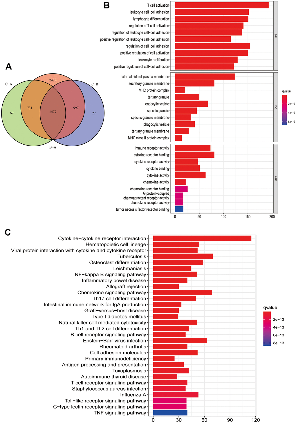 Functional enrichment analysis and PRG signature genes annotation. (A) Common intersection genes between the three PRG modification patterns. (B, C) PRG signature genes GO function and KEGG pathway enrichment analysis. The box color represents the number of enriched genes. Red represents a large number of genes enriched, blue is the opposite. (B) GO function enrichment analysis. (C) KEGG pathway enrichment analysis.