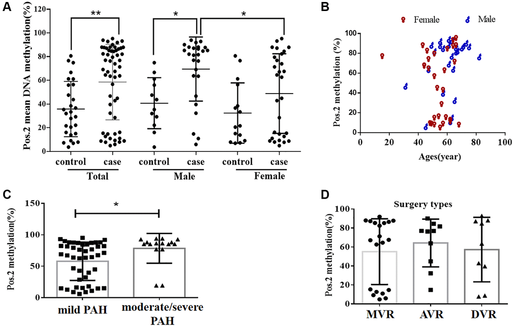 The DNA methylation level at the second CpG site (Pos. 2) of the BMPR2 promoter was affected by the VHD clinicopathological factors. (A) The DNA methylation levels at Pos. 2 of BMPR2 were more significantly increased in the male patients than the females in comparison to the controls. (B) The DNA methylation levels at Pos. 2 of BMPR2 were shown in different age groups of VHD patients. (C) The DNA methylation levels at Pos. 2 of BMPR2 were more significantly increased in the VHD patients with more severe PAH than those with mild PAH. Moderate/severe PAH, PASP≥55mmHg. Mild PAH, 30 mmHg ≤ PASP D) The operation type of MVR or AVR or DVR had no effect on the BMPR2 promoter DNA methylation levels at Pos. 2 of BMPR2. MVR, mitral valve replacement; AVR, aortic valve replacement. DVR, double valve replacement. For statistical comparisons, *P **P 