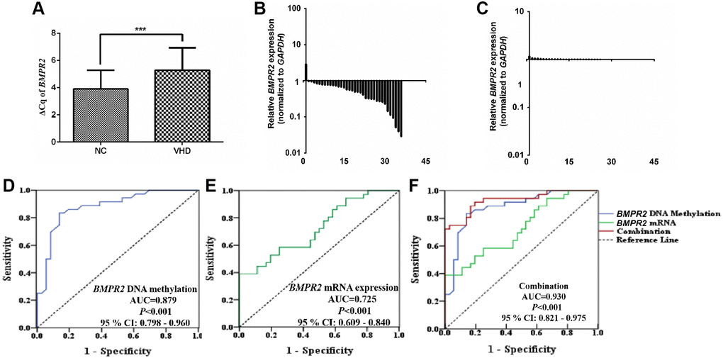 The BMPR2 mRNA levels were significantly reduced in the VHD cases compared with the healthy control samples. Potential diagnostic value was assessed for using the BMPR2 promoter DNA methylation levels or BMPR2 mRNA levels or both in the VHD plasma samples. (A) The levels of BMPR2 mRNA were quantified by qRT-PCR in the VHD cases (n = 36) and healthy control samples (n = 36). ***P BMPR2 was not highly expressed, the difference in the Cq values (ΔCq) during qRT-PCR was used instead to compare its expression in the VHD patients with that of the controls (NC). (B) The BMPR2 mRNA levels were reduced in 97.2% (35/36) of the VHD cases compared with the healthy control samples. The BMPR2 mRNA levels were normalized to those of GAPDH in these samples. Horizontal axis, VHD patient number. Vertical axis, relative BMPR2 mRNA levels based on 2−ΔΔCq after normalization. (C) The normalized BMPR2 mRNA levels in non-VHD healthy control (NC) samples. Horizontal axis, control sample number. Vertical axis, relative BMPR2 mRNA levels based on 2−ΔΔCq after normalization. (D) Receiver operating characteristic curve (ROC) analysis was performed when the mean DNA methylation levels of 10 CpG sites at the BMPR2 promoter were used to distinguish plasma samples of VHD patients from those of normal controls. P E) ROC analysis of the BMPR2 mRNA levels was performed to distinguish plasma samples of VHD patients from those of normal controls. P F) ROC analysis was performed when both mean BMPR2 promoter DNA methylation and mRNA levels were used in combination to distinguish plasma samples of VHD patients from those of the controls. 95% CI: 95% Confidence Interval. ***P 