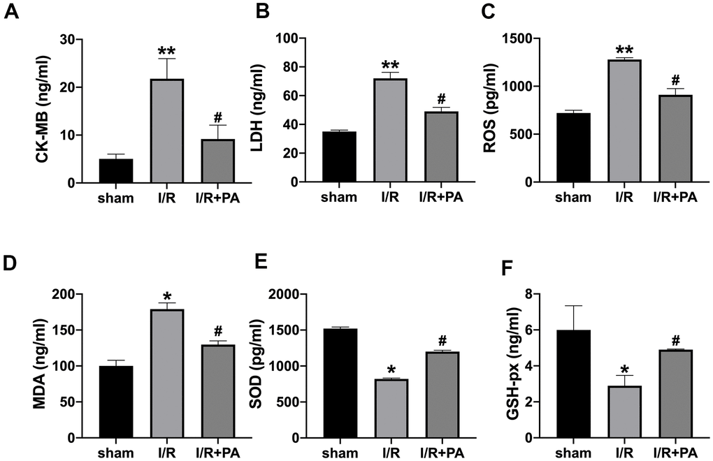 Myocardial injury and oxidative stress indices. Serum CK-MB isoenzyme levels (A), serum LDH levels (B), serum ROS levels (C), serum MDA levels (D), serum SOD levels (E), and serum GSH-px levels (F). n=10, *PP#P
