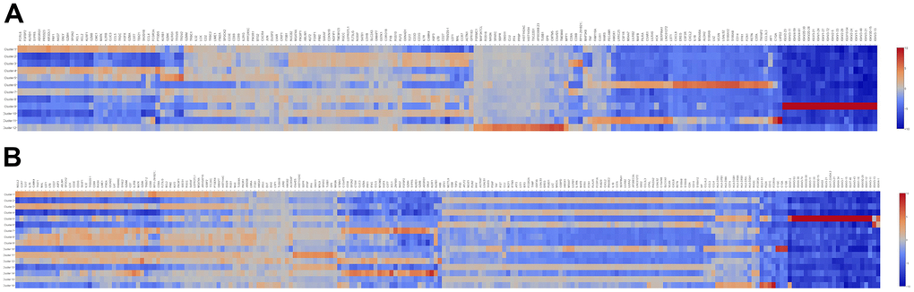 The heatmap of DEGs in different cell clusters between the SLE and NC groups. (A) The heatmap of DEGs in 12 cell clusters of the NC group. (B) The heatmap of DEGs in 16 cell clusters of the SLE group.