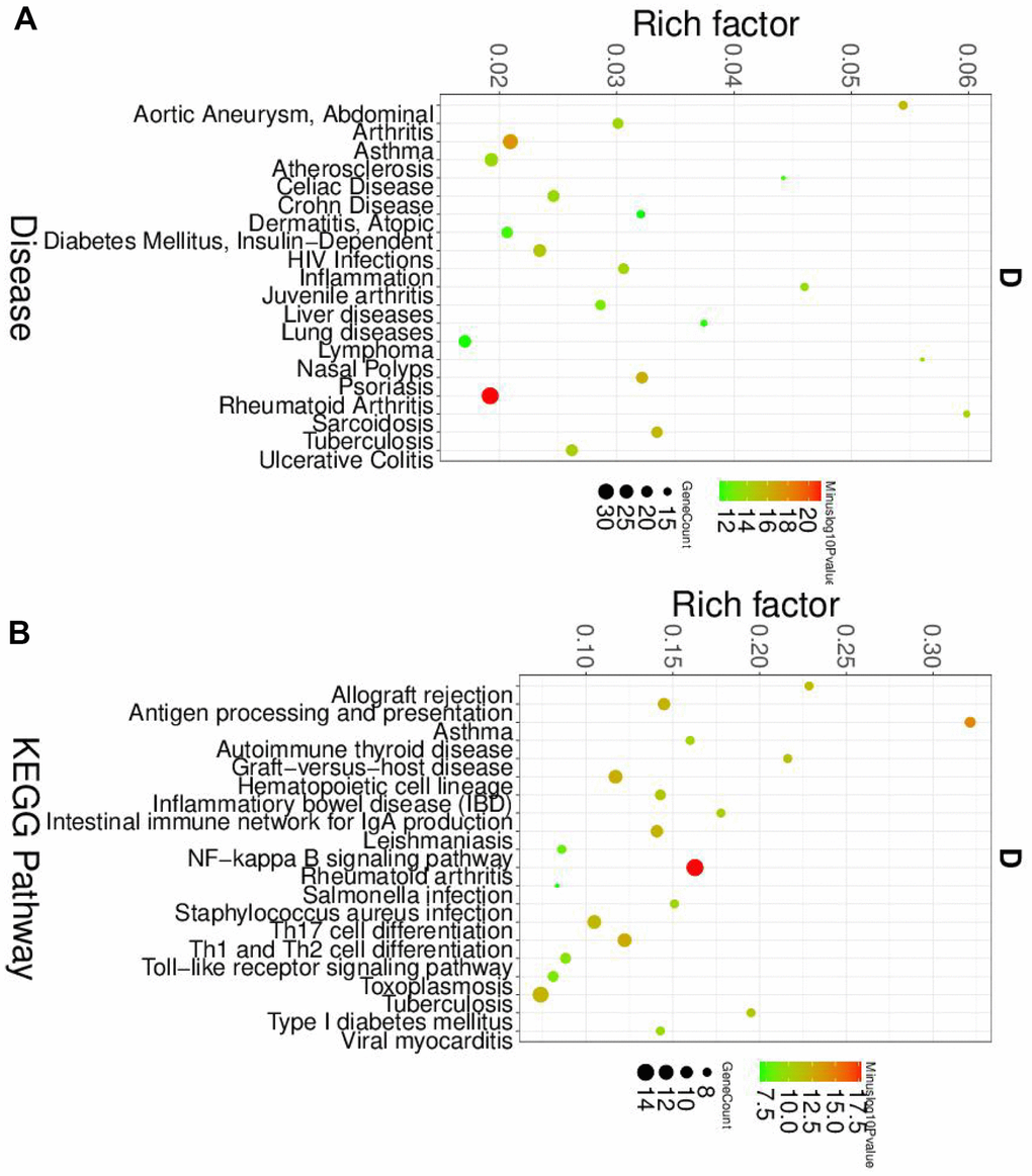 The disease and KEGG enriched of DEGs in dendritic cells. (A) The top disease enriched of DEGs in dendritic cells. (B) The KEGG pathway analyses of DEGs in dendritic cells.