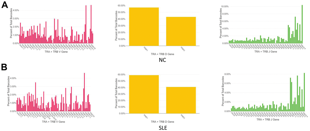 The biased usage of the VDJ gene of TCR between SLE and NC group. (A) The usage of the VDJ gene of TCR α and β chain in NC group. (B) The usage of the VDJ gene of TCR α and β chain in the SLE group.