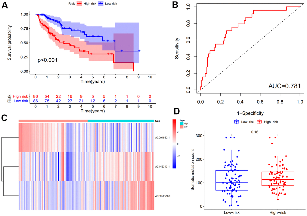 Identification of the genomic instability-derived lncRNA signature (GILncSig) using the training set. (A) Kaplan–Meier analysis of overall survival of patients with low or high risk according to the GILncSig score in the training set. Statistical analysis was performed using the log-rank test and univariate Cox analysis. (B) Time-dependent ROC curves analysis of the GILncSig. (C) LncRNA expression patterns with increasing GILncSig score. (D) Somatic mutations count in the high- and low-risk groups for the training set patients. The red represents the high-risk group, and the blue represents the low-risk group.