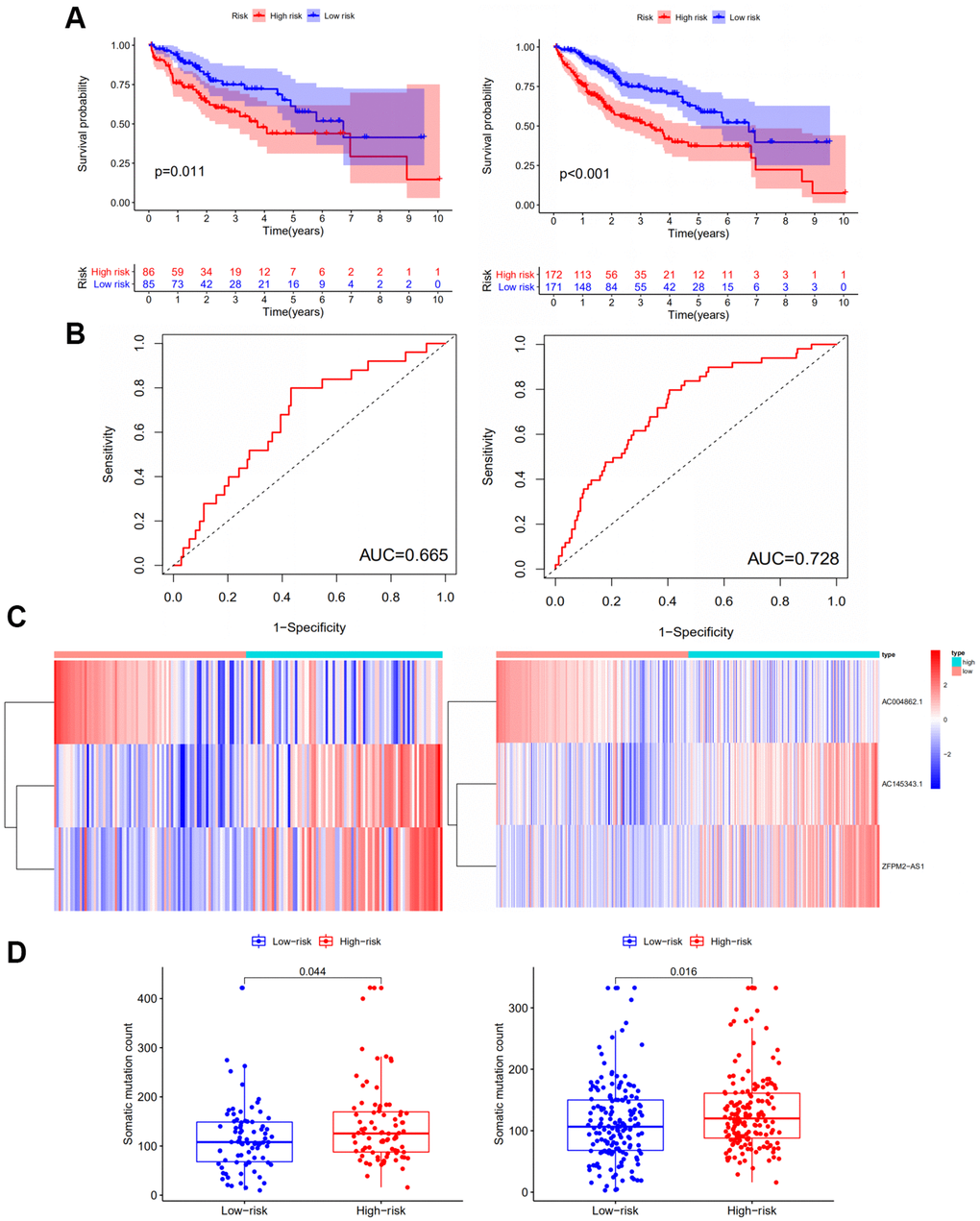 Performance examination of the GILncSig in the testing set and TCGA set. (A) Kaplan–Meier analysis of overall survival of patients with low or high risk according to the GILncSig score in the testing set (Left panel) and TCGA set (Right panel). Statistical analysis was performed using the log-rank test and univariate Cox analysis. (B) Time-dependent ROC curves analysis of the GILncSig in the testing set (Left panel) and TCGA set (Right panel). (C) LncRNA expression patterns with increasing GILncSig score in the testing set (Left panel) and TCGA set (Right panel). (D) Somatic mutations count in the high- and low-risk groups for the patients in the testing set (Left panel) and TCGA set (Right panel). The red represents the high-risk group, and the blue represents the low-risk group.