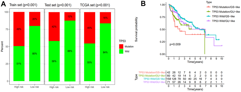 Comparison of the GILncSig with TP53 mutation status in prognosis value. (A) The proportion of TP53 mutation in high- and low-risk groups in the training set, testing set and the TCGA set. (B) Kaplan–Meier curve analysis of overall survival is shown for patients classified according to TP53 mutation status and the GILncSig. Statistical analysis was performed using the log-rank test.