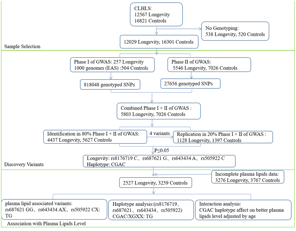 A flow chart of the consecutive analysis steps.