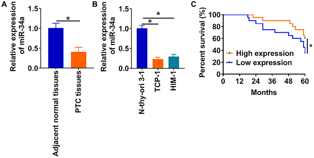 LncRNA FGD5-AS1 is increased in OC tissue and cells. (A) The expression of miR-34a in PTC tissues (n = 40) and adjacent normal tissues (n = 40) determined by qRT-PCR (*p B) qRT-PCR assay analyzed the expression of miR-34a in normal human thyroid cells (Nthy-ori 3-1) and PTC cell lines (TCP-1 and HIM-1) (*p C) The 60-months survival rate of PTC patients with high and low miR-34a expression (*p 