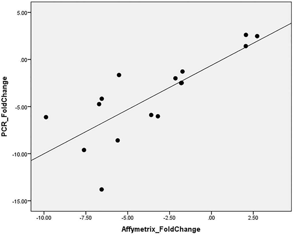 ABCA13 gene expression validation with PCR.