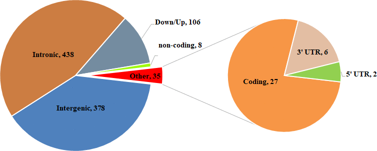 Summary of functional classification of WXP