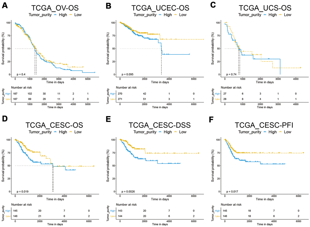 Correlation between tumor purity and gynecological cancer prognosis. (A–C) A Kaplan–Meier survival analysis indicated that tumor purity was not associated with OV, UCEC, and UCS overall survival. (D–F) A Kaplan–Meier survival analysis indicated that the low tumor purity subgroup of CESC had a better prognosis.